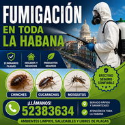 Fumigacion para todo tipo de plaga - Img 56514810