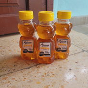 MIEL!!! - Img 55721432