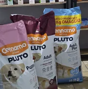 Pienso importado para perros.  Mensajería en toda la Habana - Img 49450380