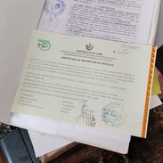 vendo my moto mondial 2T con todos sus papeles en regla certifico en mano listo para traspaso - Img 56579507