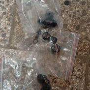 Quita ruidos para pinza trasera de moto eléctrica - Img 55324571