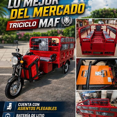 TRICICLO ELECTRICO MAF - 4/4