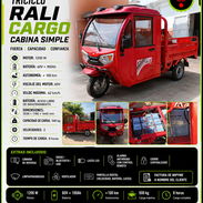🏗️ TRICICLO RALI CARGO CABINA SIMPLE: Más Protección, Más Capacidad y Más Trabajo para tu Negocio 🏗️ - Img 55781763