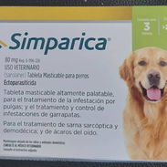 Simparica 20-40 kg - Img 56356841