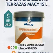 PINTURA IMPERMEABILIZANTE TERRAZA MACY 15 LTS - Img 55248536