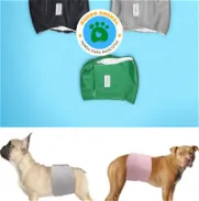 Pañales lavables para perros - Img 45977361
