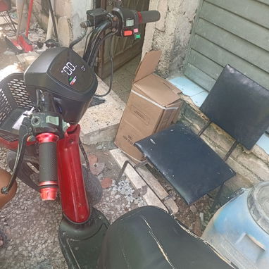 Se vende bisimoto - Img 124492980