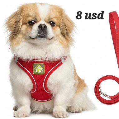 🐾😺🐶ARREOS Y CINTA PARA SU MASCOTA📲53902244😺🐶 - Img 125987175