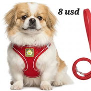 ✅️ARREOS Y CINTA PARA PERROS✅️📲53902244 - Img 55026007
