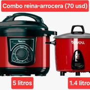 Combo Arrocera y Reina Gwell - Img 55798171