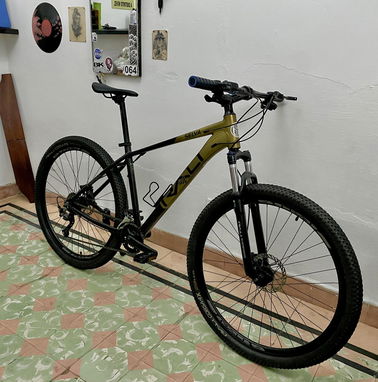 Bicicleta rali fashion selva 29