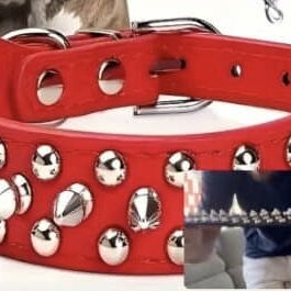 COLLARES Y PECHERAS - 8/10