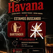 Se busca bartender mujer - Img 58163043