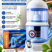 Filtro purificador de agua - Img 56797479
