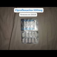 Ciprofloxacino - Img 55709878