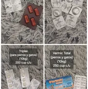 Tienda online especializada en productos para mascotas con recogida local y envíos - Img 50804091