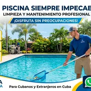 Mantenimiento y limpieza de piscina - Img 57591102