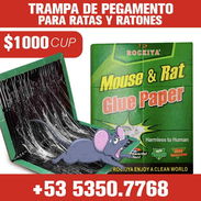 Pegatinas para Ratas, Ratones y Guayabitos - Img 55763144