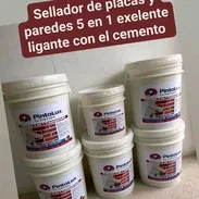 Pintura - Img 55746178