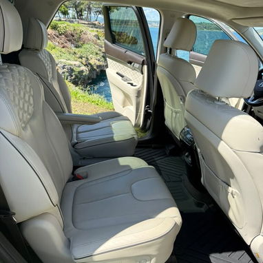 Hyundai palisade 2020 limited en venta - 4/10