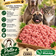 Comida para mascotas 💕💢😉 - Img 57684618