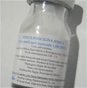 300-Penicilina Cristalina inyección - Img 45589828