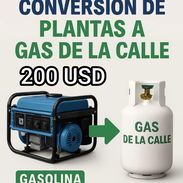 Conversión de plantas a gas de la calle - Img 55402553