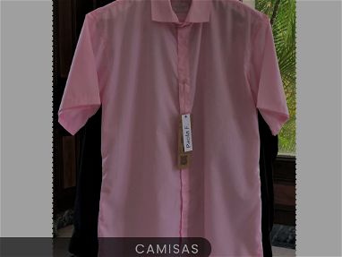 Vendo camisas de mangas cortas varios colores - Img 65987334