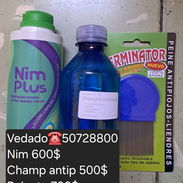 Tratamiento para piojos y liendres - Img 54699129
