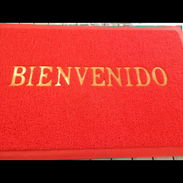 Alfombras de bienvenida - Img 56290731