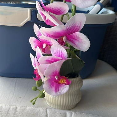 Macetas con flores artificiales - 3/4