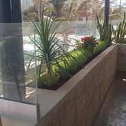 Servicio de jardinería 🧑‍🌾 - Img 55031036