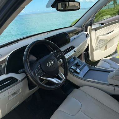 Hyundai palisade 2020 limited en venta - 10/10