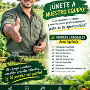 Oferta laborales - Img 57507582