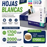 Caja de hojas blancas - Img 57152489