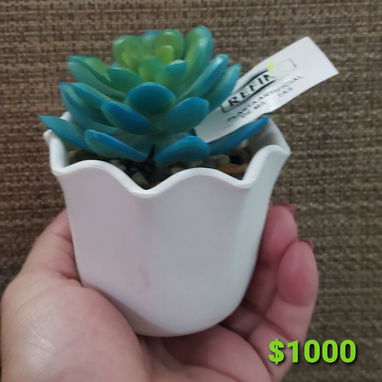 PLANTAS ARTIFICIALES - Img 115742014