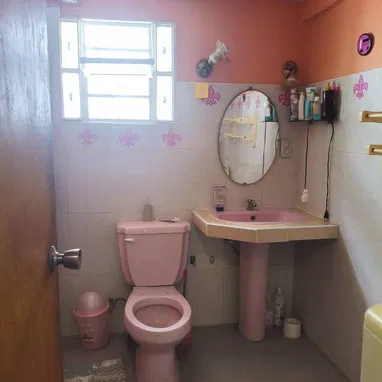 Casa en venta en el Cerro, Palatino. - 10/10