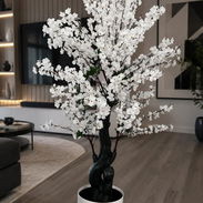 Planta ornamental 🚨Disponible solamente una. Es súper grande Casi 2 metros. 1.93 cm aproximadamente  150usd🔺️ - Img 55380912