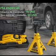Tu mejor oferta gato 65 usd - Img 55781881
