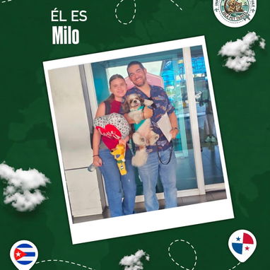 Agencia de viajes internacionales para mascotas - 2/10