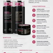 Tratamiento Perfect para un Cabello más Sano y Fuerte (ENVIO LIBRE DE COSTO) - Img 56861100
