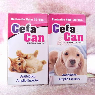 Doxiciclina Cefalexina Amoxicilina para perros y gatos - Img 114641848