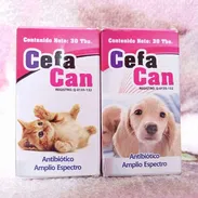 Cefalexina para Perros y Gatos - Img 54847582