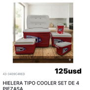 Juego de neveras de playa - Img 56391592