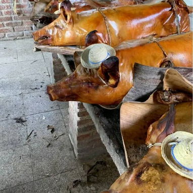 Comida a domicilio - Img 122386474