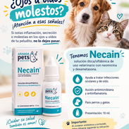 Necain- Solución Ótica/Oftálmica - Img 57994004