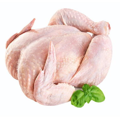 Cheap Price Wholesale Halal Frozen Whole Chicken in Stock Fast Delivery Buy Now for Sale - 4/6
