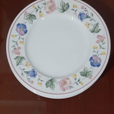 SE VENDEN PLATOS - Img 102480089