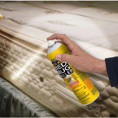 Veneno para chinches. Mata los huevos. Producto en aerosol. - Img 125112632