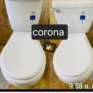 J.corona - Img 57278124